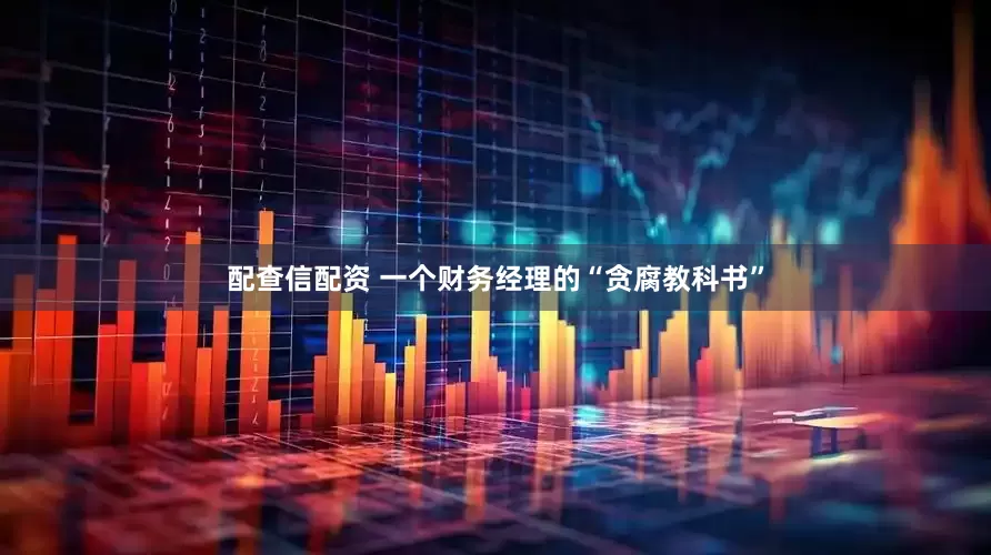 配查信配资 一个财务经理的“贪腐教科书”